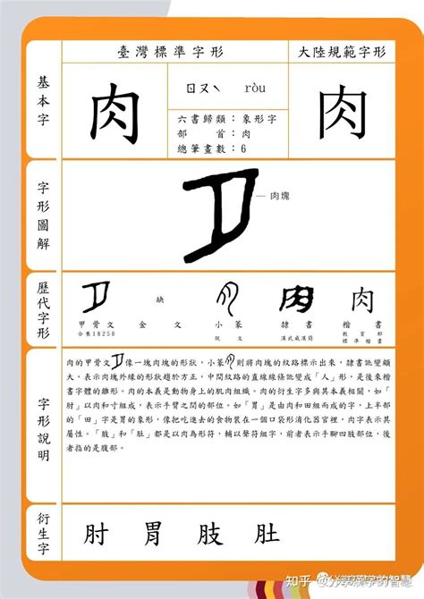 屬馬用字|【屬馬用字】揭密屬馬用字：生肖馬的適用與忌用字庫大揭秘！